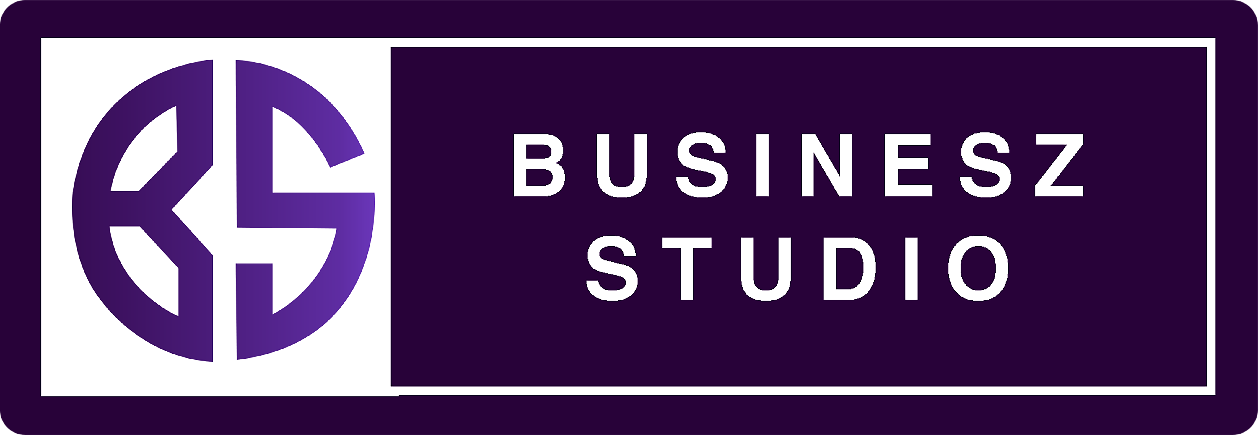 Businesz Studio